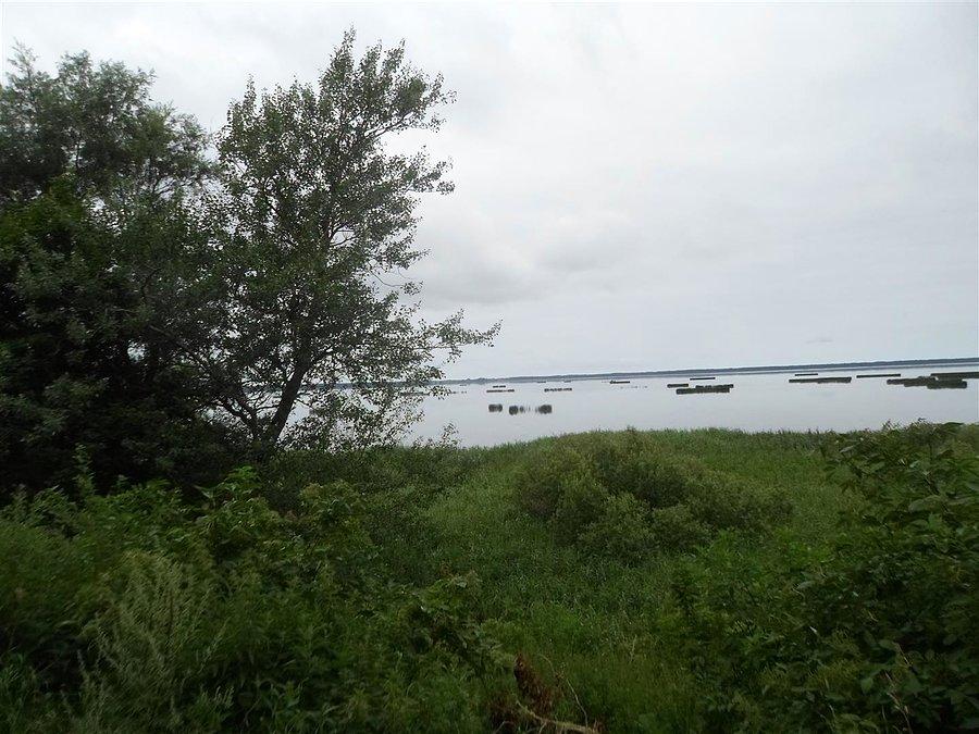 Jezioro Gardno o poranku