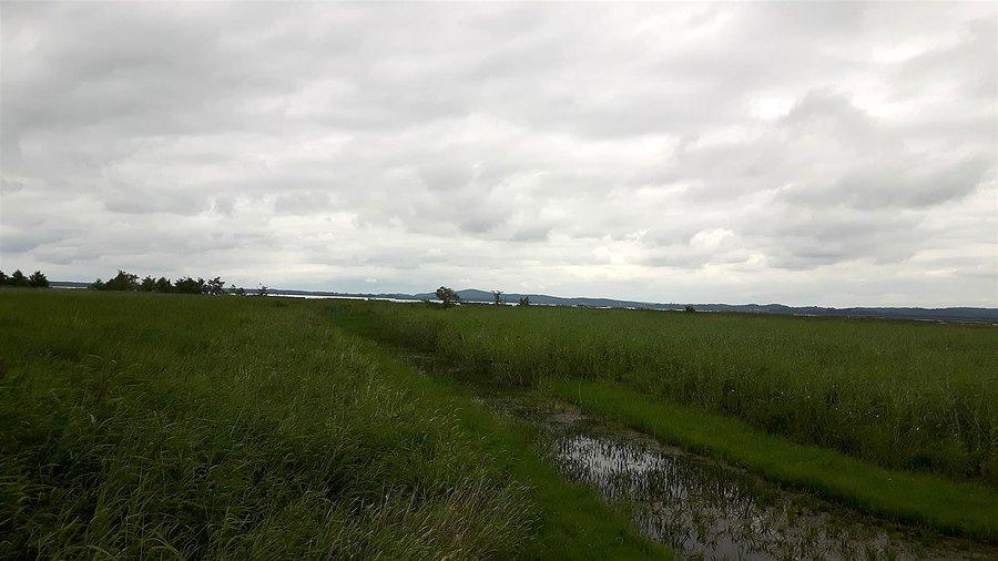 Drogami rowerowymi do Rowów