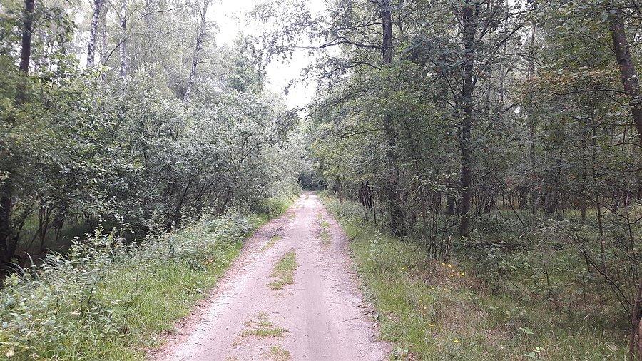 Droga do Rowów