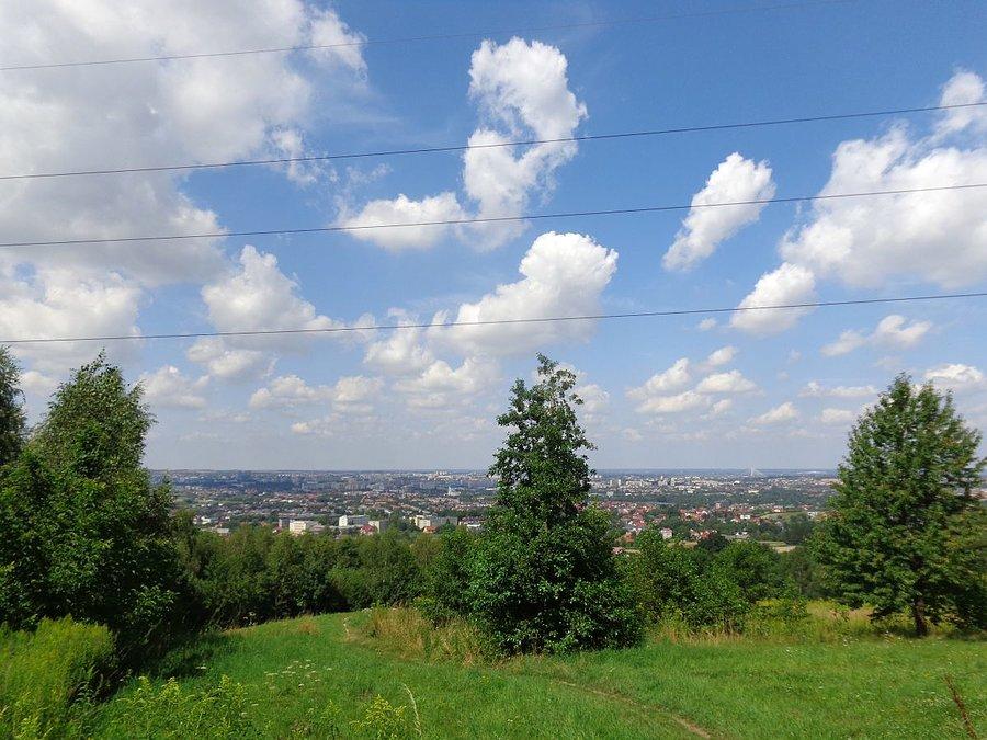 Rzeszowski widok