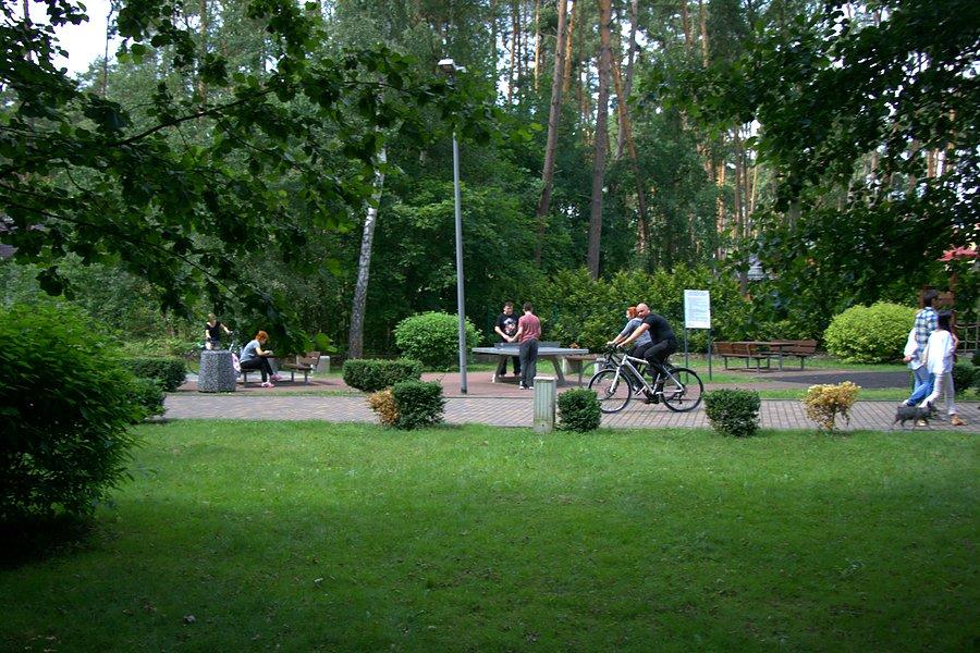 Przejażdżka promenadą