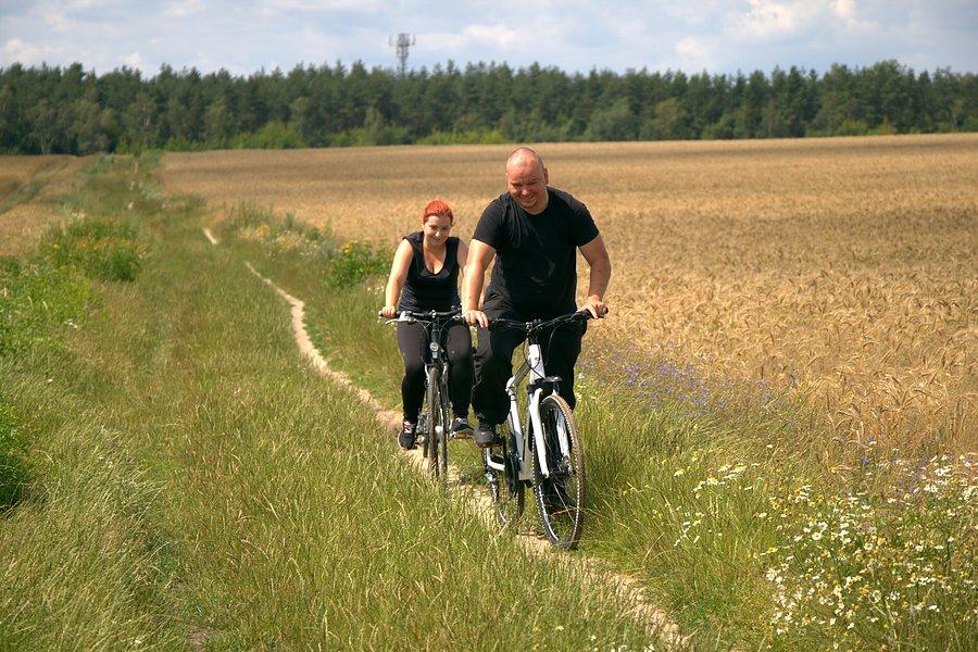 Moją ulubioną ścieżką wracamy do Stargardu