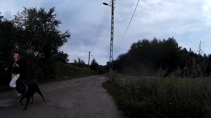 Biegnąc z pieskiem