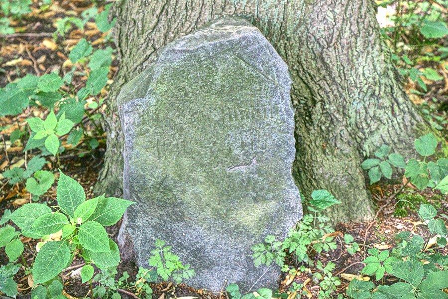 Tablice z zatartymi już napisami pod drzewami wokół głazu