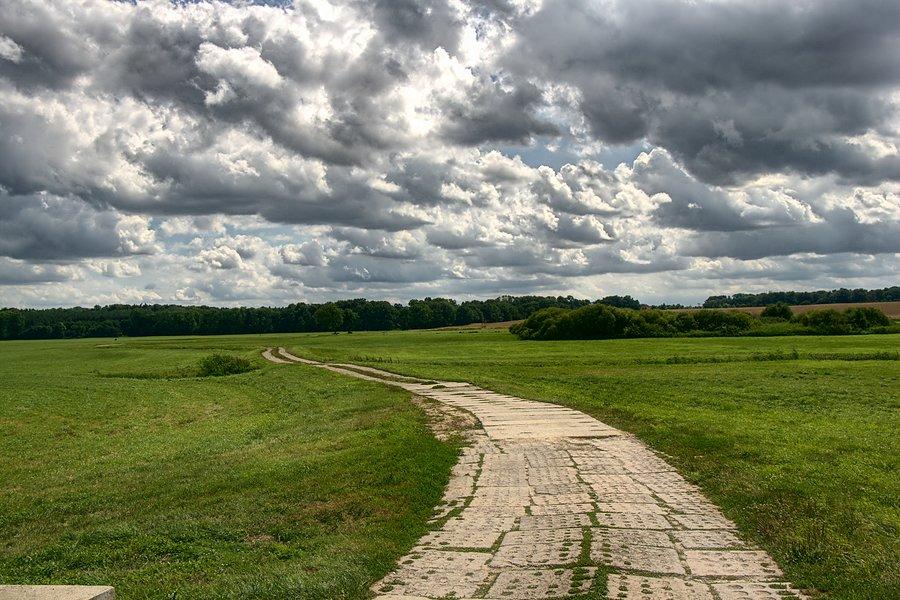 Moje ulubione betonki przez łąki :)