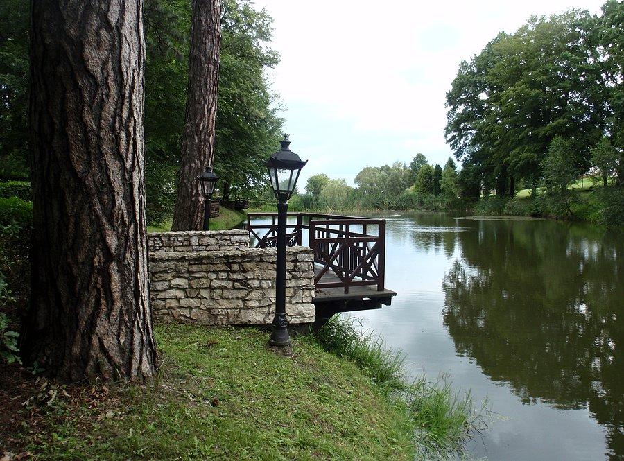 Staw w parku
