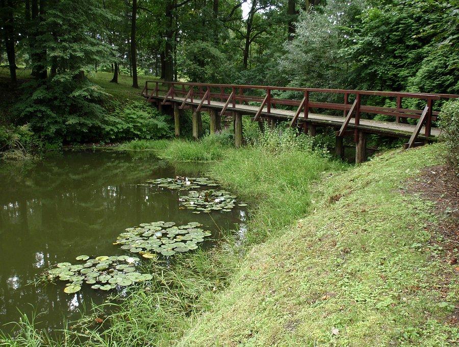 Parkowy mostek