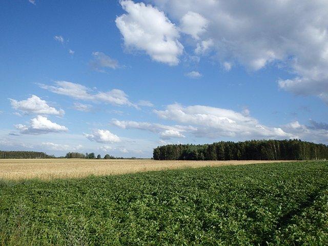 Przez cały ten czas miałem pięknę pogodę - okolice Syczowa