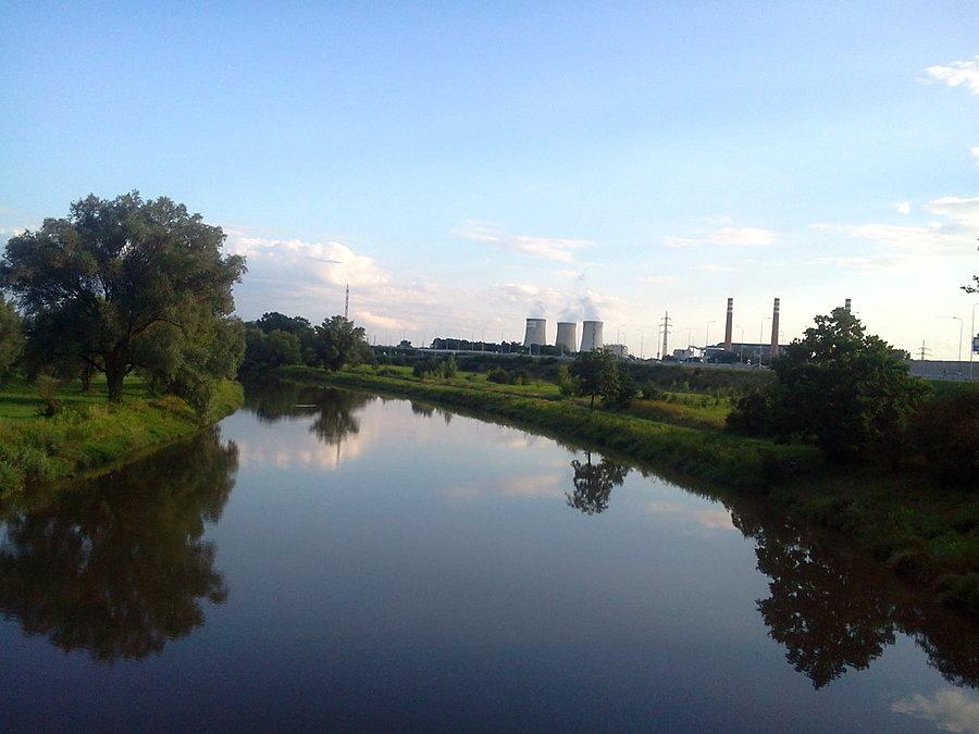 Rzeka Odra