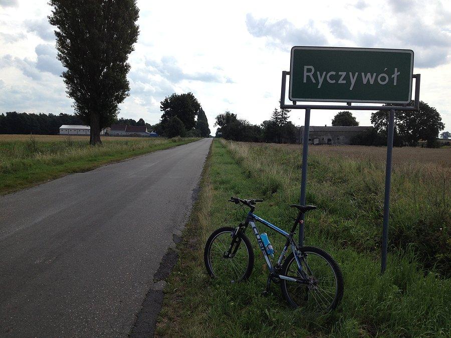 Ryczywół
