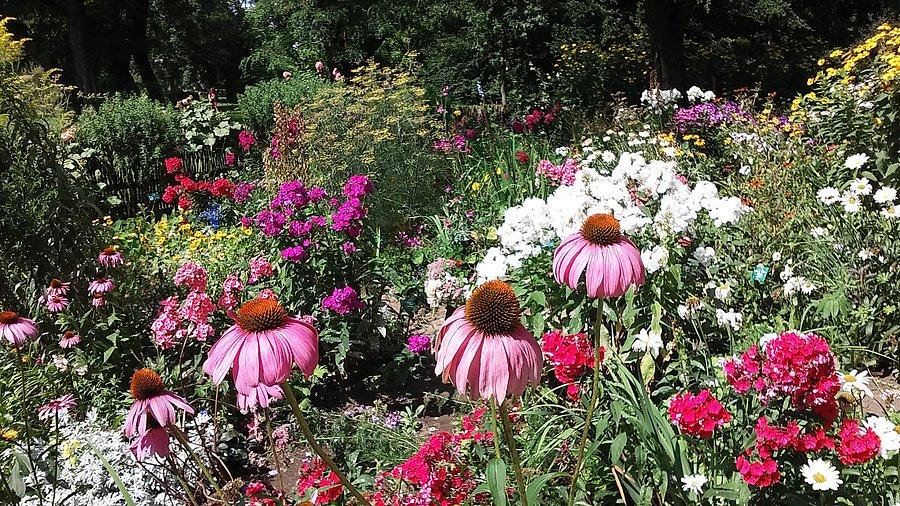 Ogród botaniczny