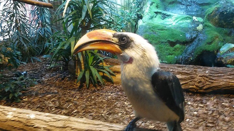 Ogród zoologiczny
