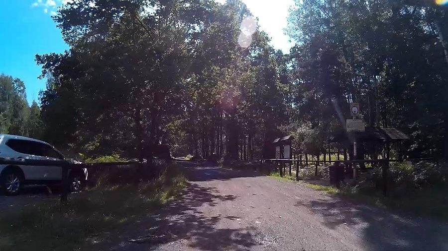 Parking Leśny