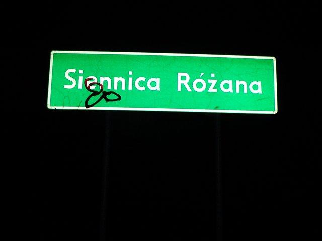 ... Siennicę Różaną