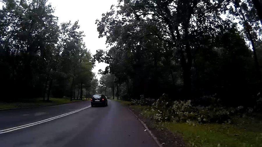 Gałęzie, drzewa