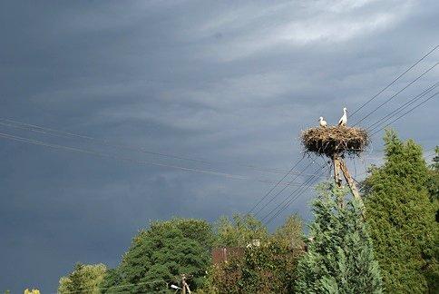 Przeczuwacie coś złego?