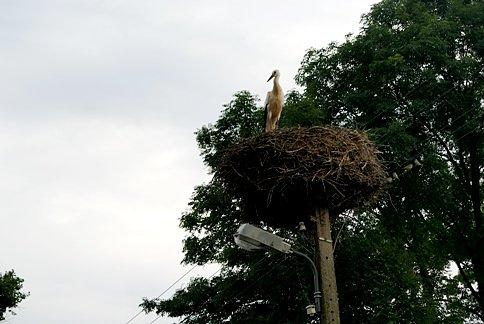 Jak się masz? Kiedy odlatujesz?