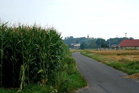 Widok na będkowski kościół ze szlaku konnego ;)