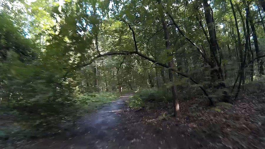 Lekko się pochyliło