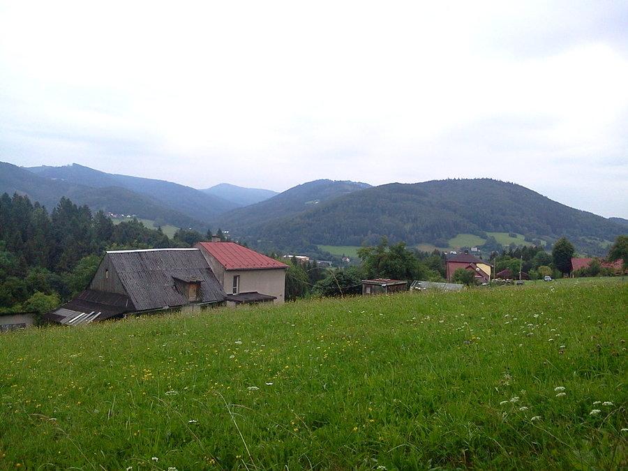 Widoczek