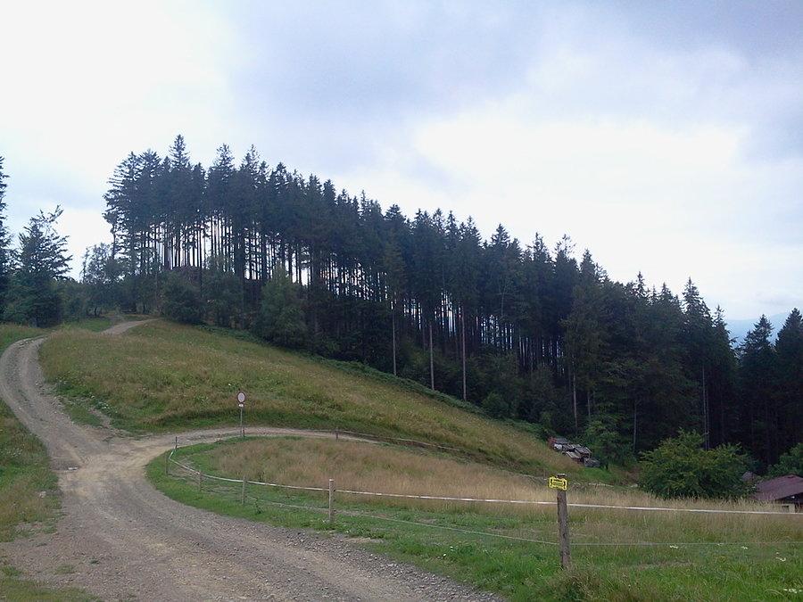 Zjazd do Wisły Dziechcinki Jurzykowa