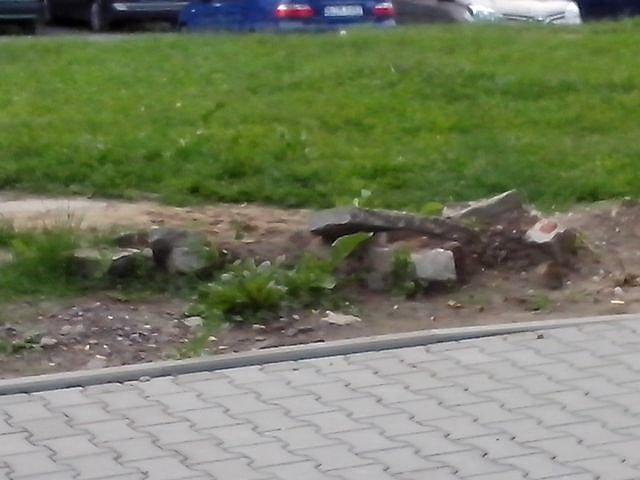 Przecież jutro otwarcie odcinka Warszawskiej... takie obrazki doprowadzają do szału