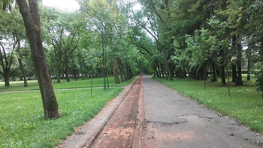 Łódź, Zdrowie
