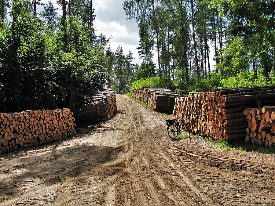 Wycieczka rowerowa-Tczew i jego okolice