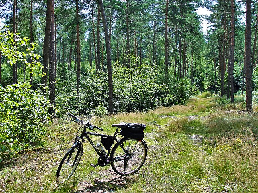 Wycieczka rowerowa-Tczew i jego okolice