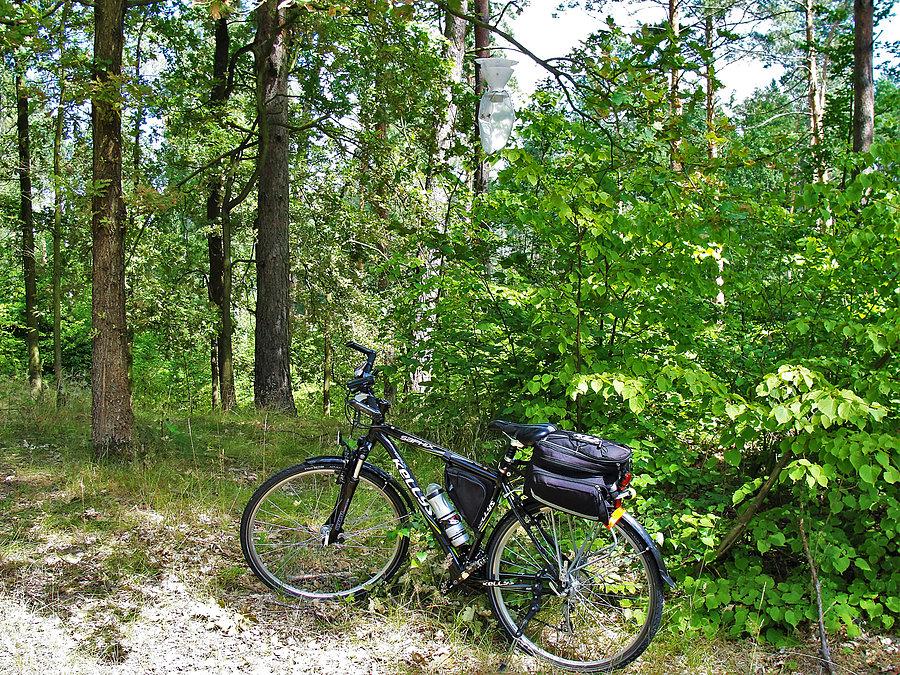 Wycieczka rowerowa-Tczew i jego okolice