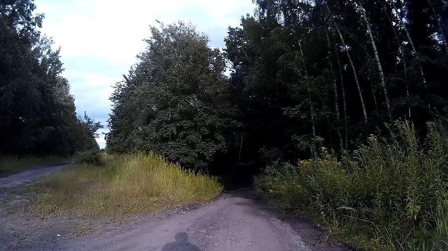 W czarną czeluść