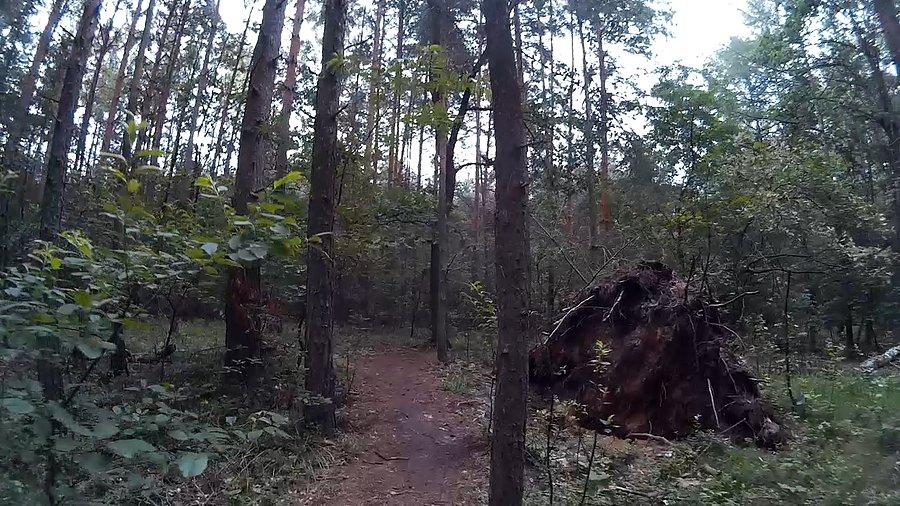 Niespodzianka na szlaku