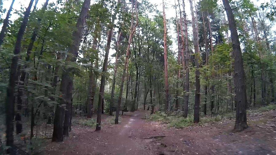 Jeszcze kawałek i będę w Piotrowicach