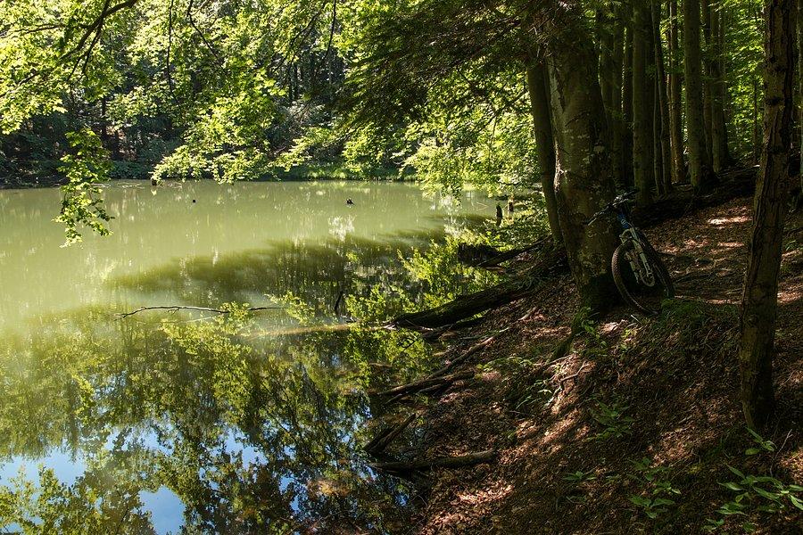 Pierwsze z jeziorek Duszatyńskich