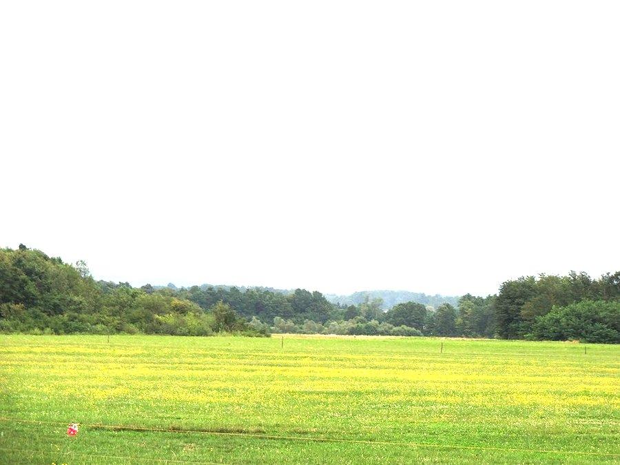 Widoki