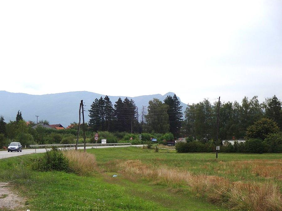 Widoki
