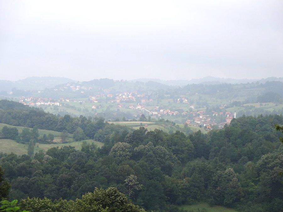 Widoki
