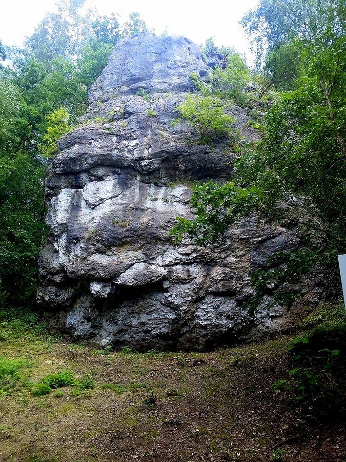 Ostaniec w okolicy strażnicy w Przewodziszowicach