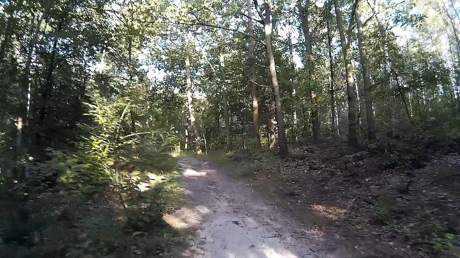 Troszkę piasku