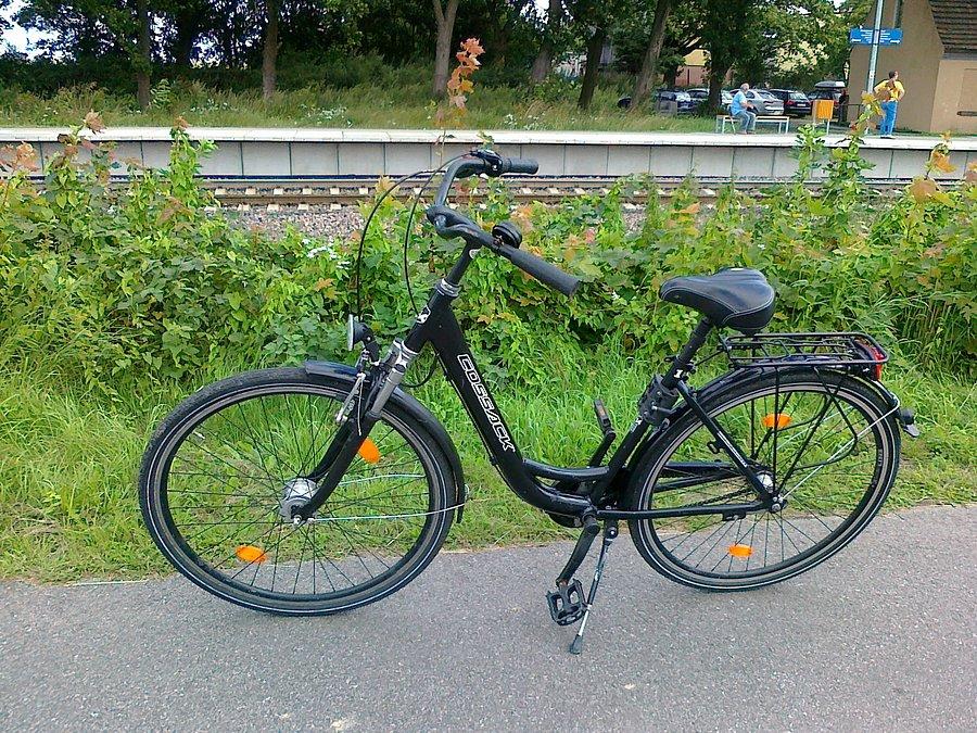 Rower wypożyczony w Swarzewie spisywał się bardzo dobrze