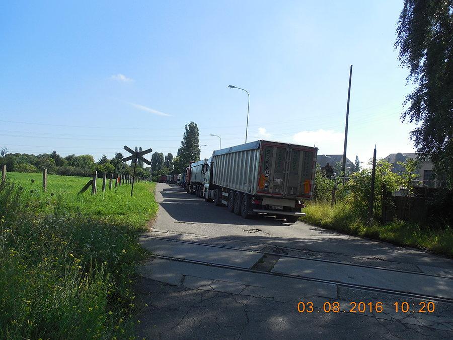 Olbrzymia kolejka samochodów ciężarowych z ziarnem oczekuje na rozładunek w porcie