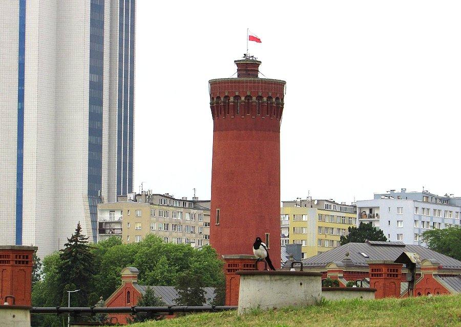 Sroka i wieża ciśnień