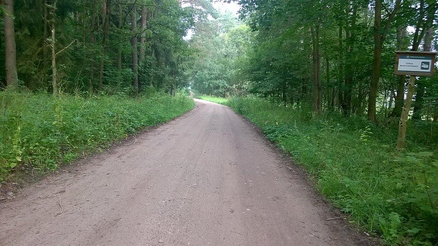 Takie leśne drogi to ja lubię