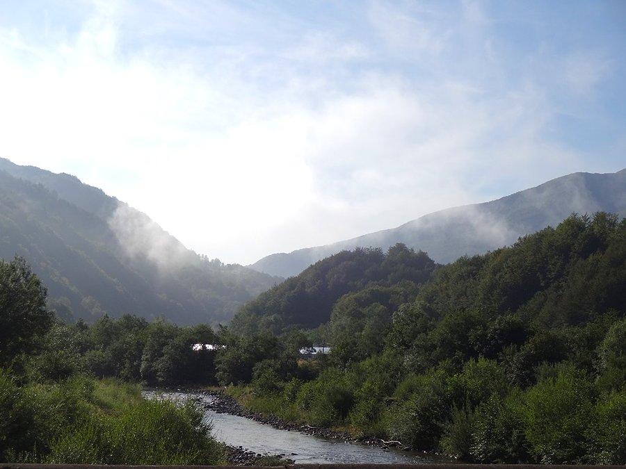 Widoki