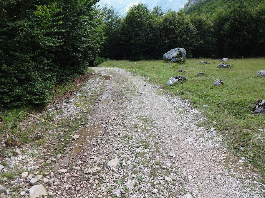 Kamieniste ścieżki