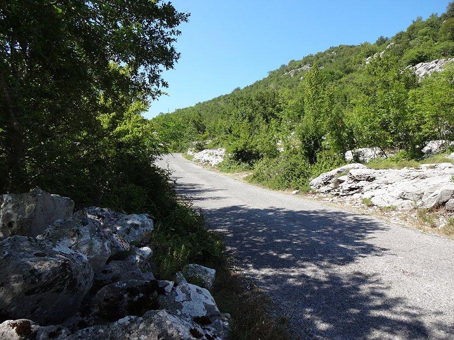 Pauza w cieniu