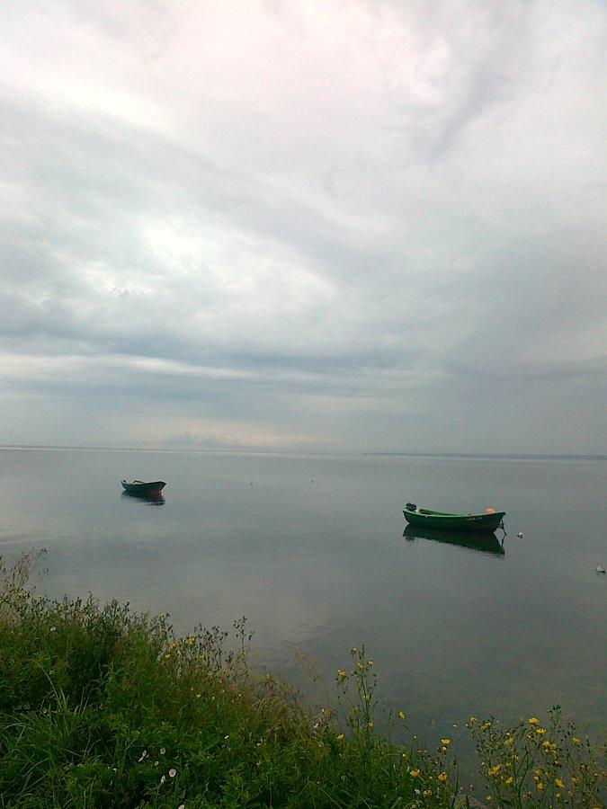 Widoczek znad zatoki