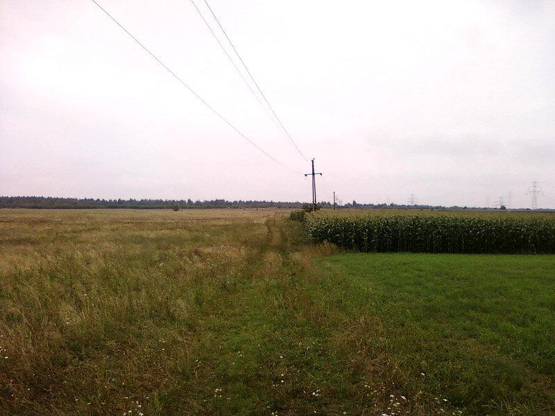 Polne drogi w stronę Zgierza