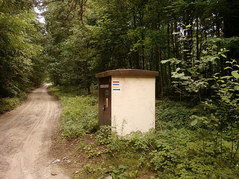 Mnogość szlaków