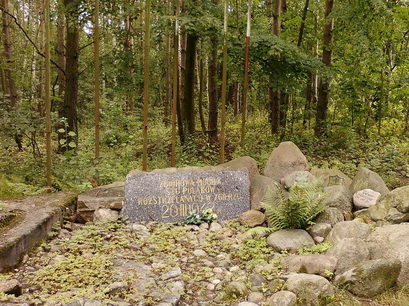 Zbiorowa mogiła